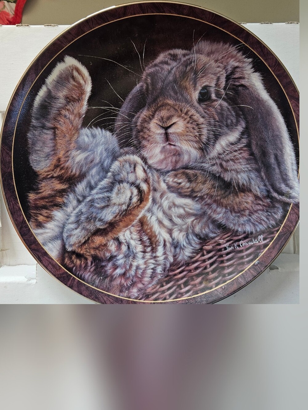 Footloose - Bunny Tales Collector Plate – Vivi Crandall – Bradford Exchange New